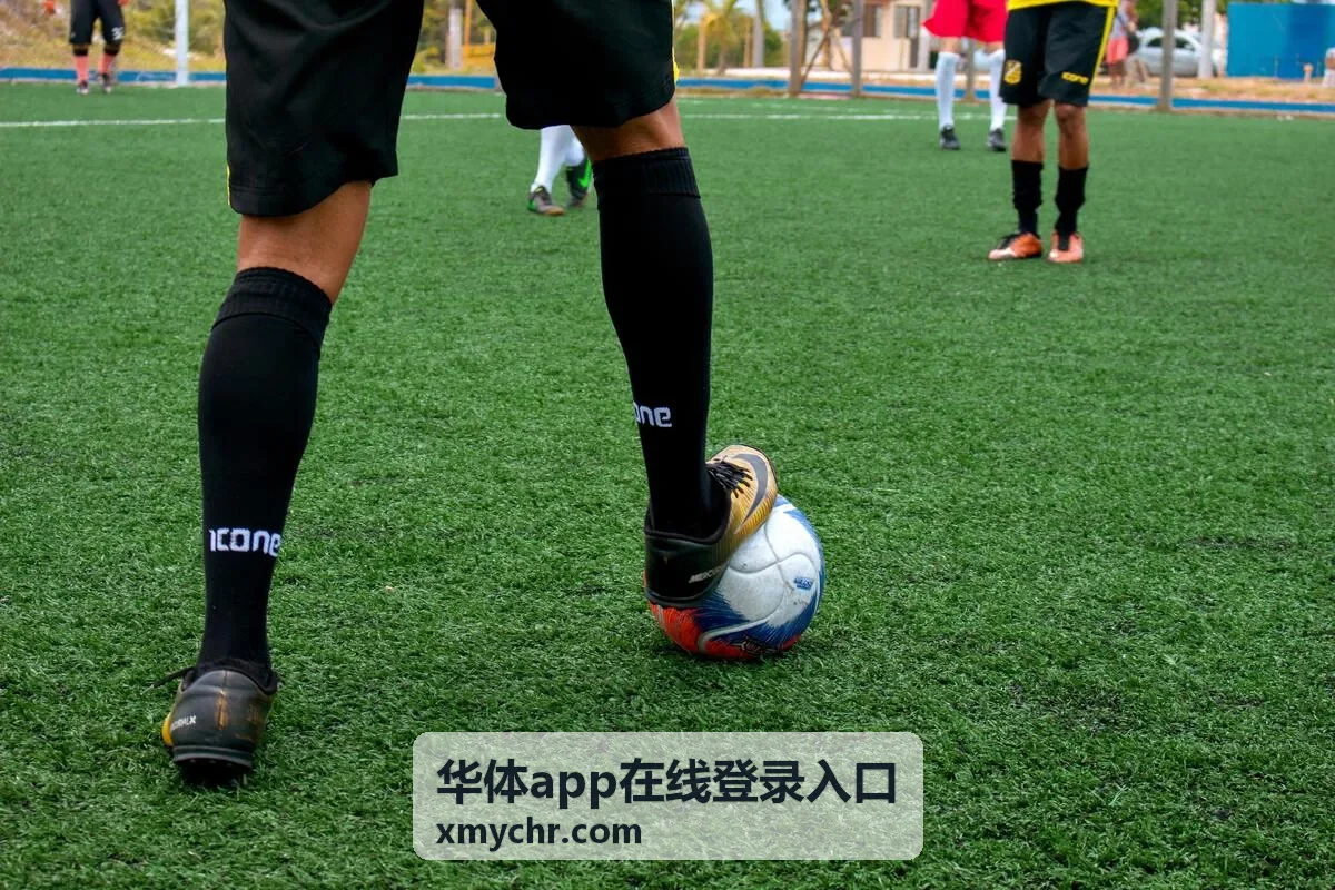 华体app在线登录入口解决方案